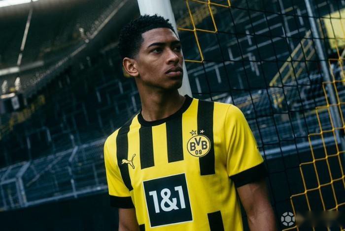 电里启用了 电里启用了